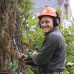 Tree Surgeons Enfield