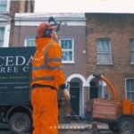 Tree Surgeons In Ipswich