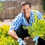 Tree Surgeons Dagenham