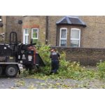 Tree Surgeons Chelmsford