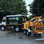 Tree Surgeons In Frinton