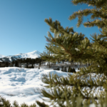 Breckenridge Rental Properties