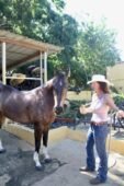 horse-handler