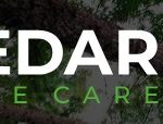 Tree Surgeons In Felixstowe