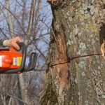 Marlow Tree Surgery