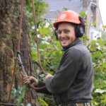 Tree Surgeons Brentwood