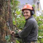 Tree Surgeons Bromley